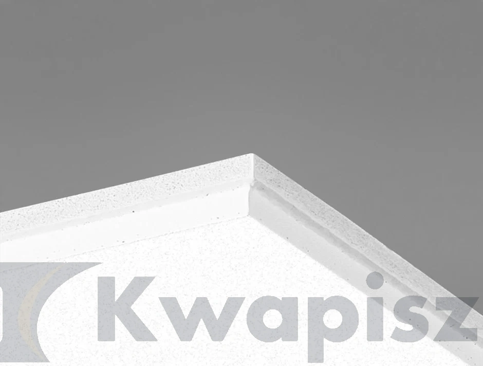 Ecophon Focus E T24 /Tech 600x600x20mm  White Frost   op.7,20 m2