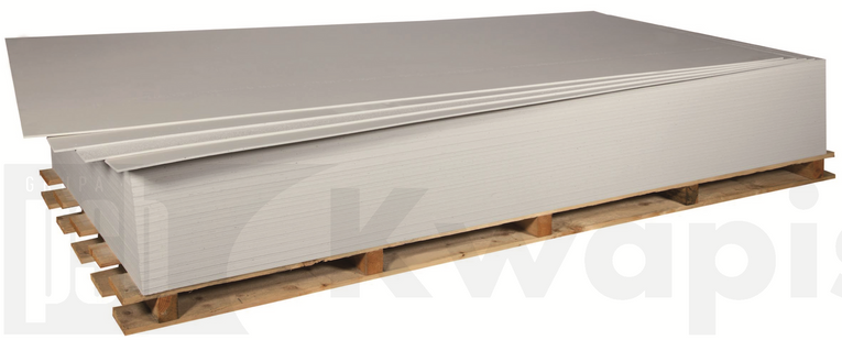pł.specjalna  RIGIPS Glasroc F (Riflex)  1200x2400x6mm  /  11515954