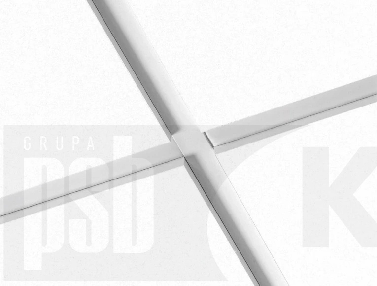 Ecophon Focus E T24  600x600x20mm  White Frost   op.7,20 m2    35422250