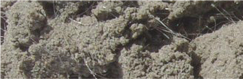 DMB/FARKOM/KRAKTEST Włókno 12mm polipropylenowe - mikrozbrojenie "Qfibre" 600g