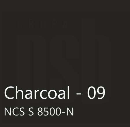 ROCKFON - Col Charc E24S8 1200x600x20/226355