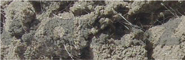 DMB/FARKOM/KRAKTEST Włókno 12mm polipropylenowe - mikrozbrojenie "Qfibre" 600g